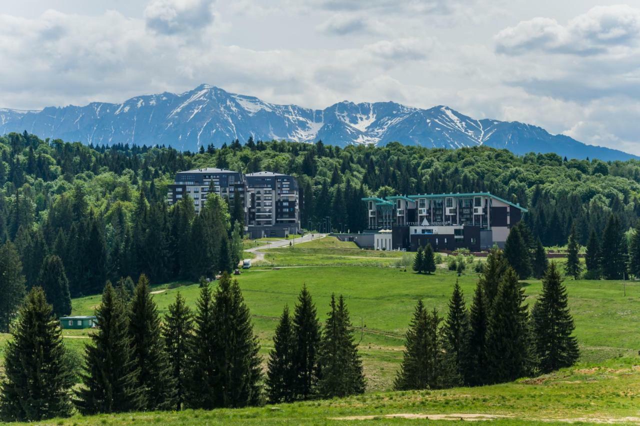 Twin Studio Silver Mountain Poiana Braşov Dış mekan fotoğraf